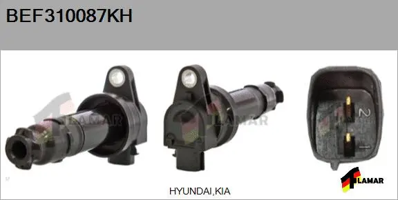 Ignition Coil (BEF310087KH)