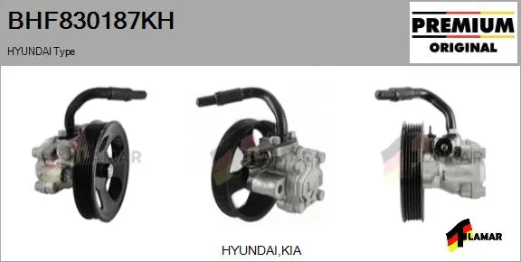 Hydraulic Pump, steering (BHF830187KH)