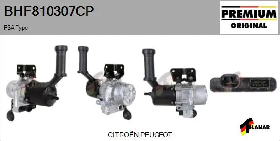 Hydraulic Pump, steering (BHF810307CP)