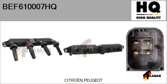 Ignition Coil (BEF610007HQ)