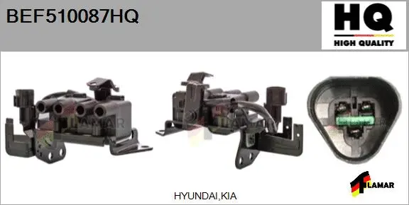 Ignition Coil (BEF510087HQ)