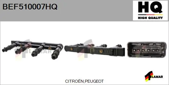 Ignition Coil (BEF510007HQ)