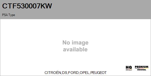 Core assembly, turbocharger (CTF530007KW)