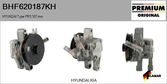 Hydraulic Pump, steering (BHF620187KH)
