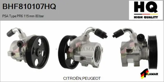 Hydraulic Pump, steering (BHF810107HQ)