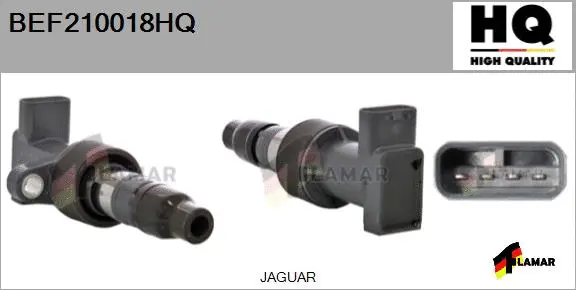 Ignition Coil (BEF210018HQ)