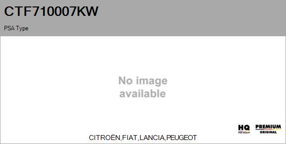 Core assembly, turbocharger (CTF710007KW)