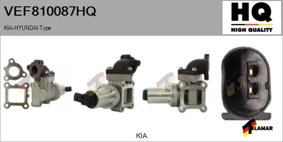 EGR Valve (VEF810087HQ)