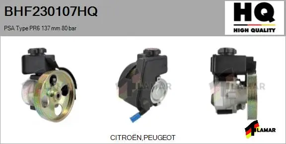 Hydraulic Pump, steering (BHF230107HQ)