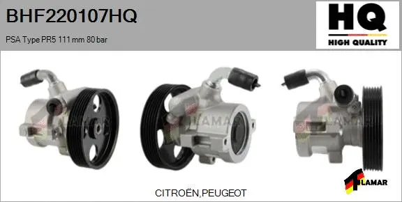 Hydraulic Pump, steering (BHF220107HQ)