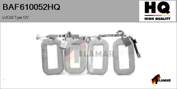 Field Winding, starter (BAF610052HQ)