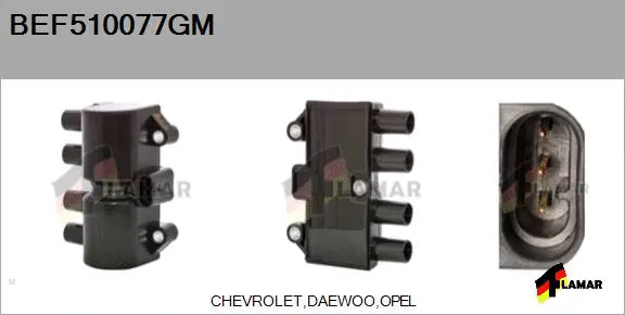 Ignition Coil (BEF510077GM)