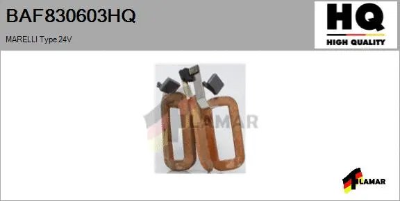 Field Winding, starter (BAF830603HQ)