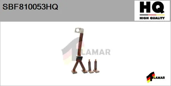 Carbon Brush, starter (SBF810053HQ)