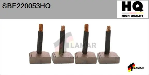 Carbon Brush, starter (SBF220053HQ)