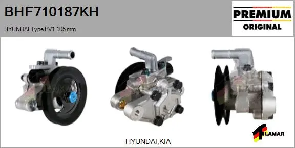 Hydraulic Pump, steering (BHF710187KH)
