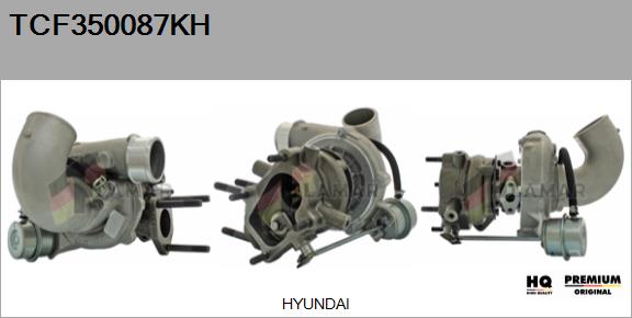 Charger, charging (supercharged/turbocharged) (TCF350087KH)