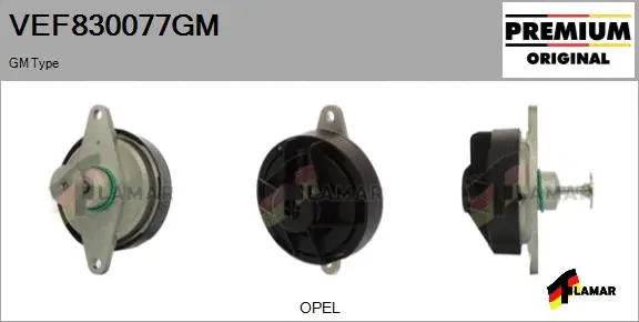 EGR Valve (VEF830077GM)