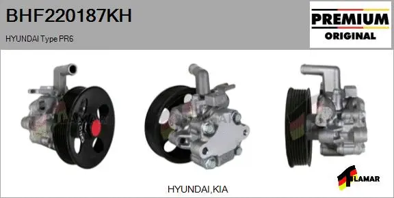 Hydraulic Pump, steering (BHF220187KH)