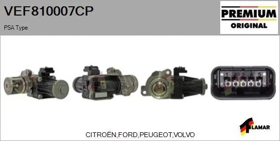 EGR Valve (VEF810007CP)