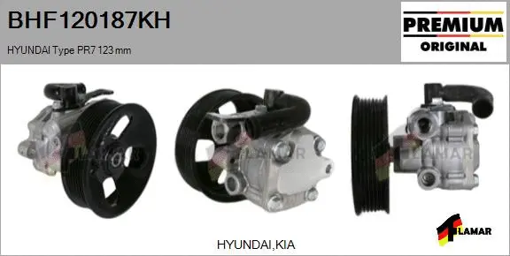 Hydraulic Pump, steering (BHF120187KH)