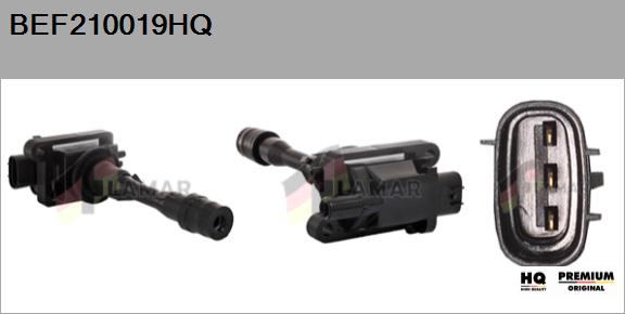 Ignition Coil (BEF210019HQ)