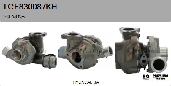 Charger, charging (supercharged/turbocharged) (TCF830087KH)