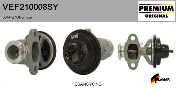 EGR Valve (VEF210008SY)