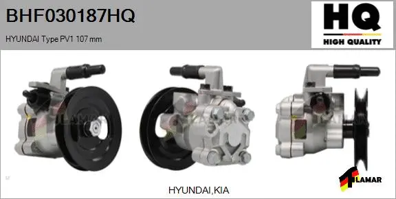 Hydraulic Pump, steering (BHF030187HQ)