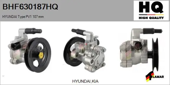 Hydraulic Pump, steering (BHF630187HQ)