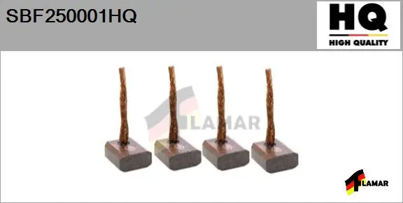 Carbon Brush, starter (SBF250001HQ)