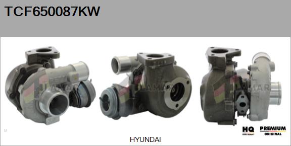 Charger, charging (supercharged/turbocharged) (TCF650087KW)