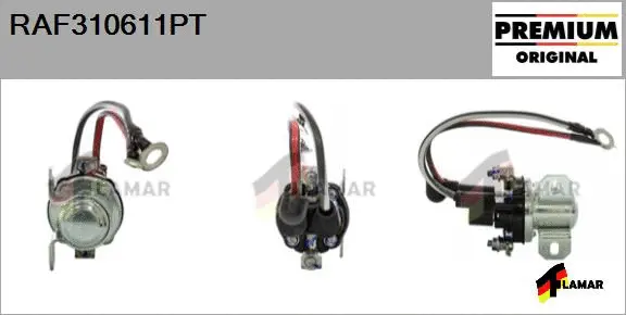 Relay, starter (RAF310611PT)