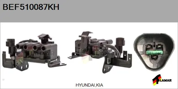 Ignition Coil (BEF510087KH)