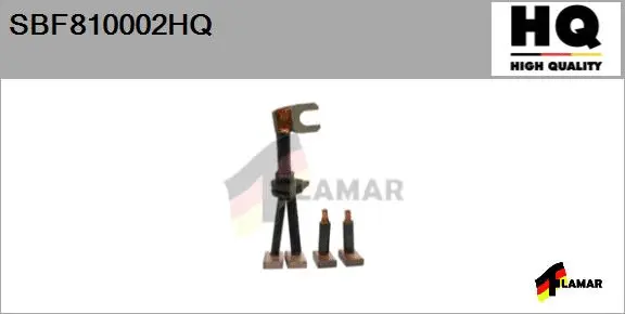 Carbon Brush, starter (SBF810002HQ)