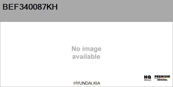 Ignition Coil (BEF340087KH)