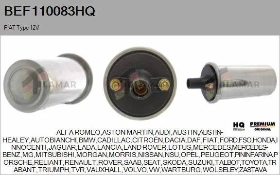 Ignition Coil (BEF110083HQ)