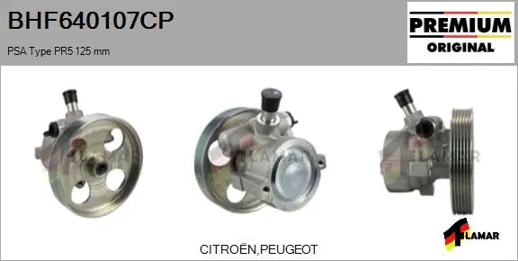 Hydraulic Pump, steering (BHF640107CP)