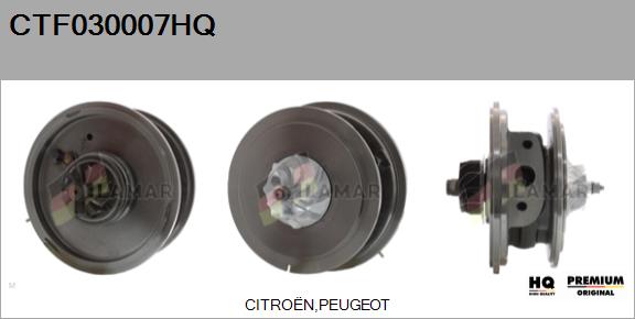 Core assembly, turbocharger (CTF030007HQ)