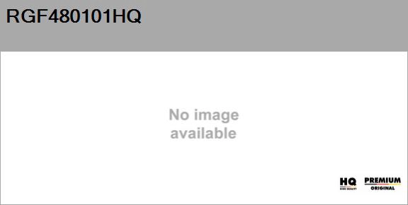 Alternator Regulator (RGF480101HQ)