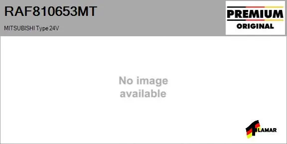 Relay, starter (RAF810653MT)