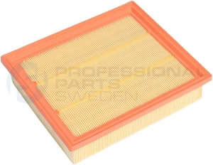 Air Filter (24023023)