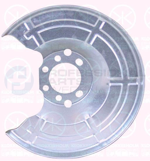 Splash Guard, brake disc (51282879)