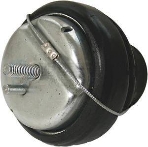 Mounting, engine (62434754)