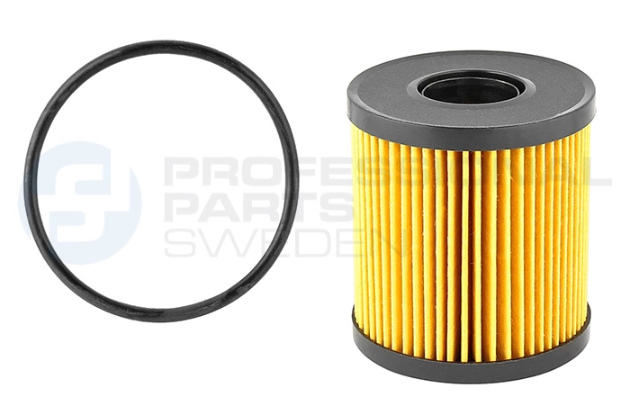 Oil Filter (22430798)
