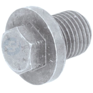 Screw Plug, oil sump (21343669)