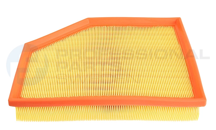 Air Filter (24438022)