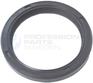 Shaft Seal, camshaft (21432272)