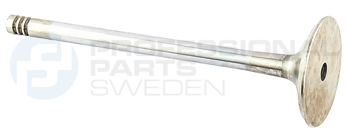 Intake Valve (23342277)