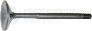 Intake Valve (23434607)